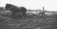 Ploughing on the Hillbrick Farm, Hessel Road Narre Warren Ploughing on the Hillbrick Farm, Hessel Road Narre Warren
